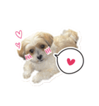 ミックス犬「もこ＆ルナ」（個別スタンプ：10）