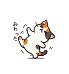 三毛猫スタンプ(第3弾)（個別スタンプ：23）