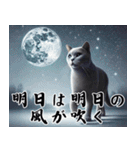 ネコの大人目線 ～余裕と癒しの一言～（個別スタンプ：27）