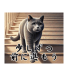 ネコの大人目線 ～余裕と癒しの一言～（個別スタンプ：31）