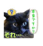 黒猫 ルナ院長158にゃんめ（個別スタンプ：8）