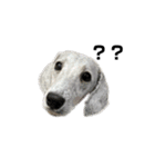 愛犬アリーの日常（個別スタンプ：4）