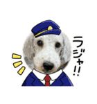 愛犬アリーの日常（個別スタンプ：6）