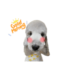 愛犬アリーの日常（個別スタンプ：10）