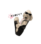 愛犬アリーの日常（個別スタンプ：12）