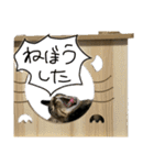 お酒とネコ好きな日常会話13（個別スタンプ：18）