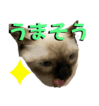 お酒とネコ好きな日常会話13（個別スタンプ：28）