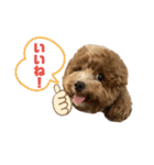 まるぷーのおとすけ②（個別スタンプ：8）
