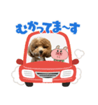 まるぷーのおとすけ②（個別スタンプ：22）