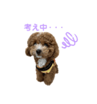 まるぷーのおとすけ②（個別スタンプ：24）