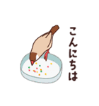 動くよBUNCHOスタンプ（個別スタンプ：2）