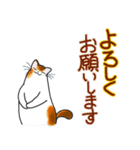 和風猫＜毎日使える15 ＞（個別スタンプ：19）