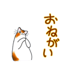 和風猫＜毎日使える15 ＞（個別スタンプ：20）