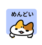 学生さん向け猫スタンプ（個別スタンプ：10）