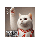 白猫バスケットボール（個別スタンプ：8）