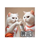 白猫バスケットボール（個別スタンプ：11）