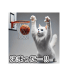 白猫バスケットボール（個別スタンプ：14）