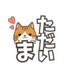 ねここ / 大文字【便利な相づち2】（個別スタンプ：15）