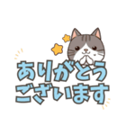 ねここ / 大文字【便利な相づち2】（個別スタンプ：18）