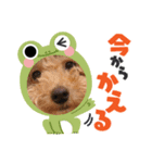 ふくきちのスタンプ（個別スタンプ：2）