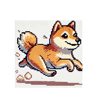 【ドット絵】  柴犬スタンプ（個別スタンプ：2）