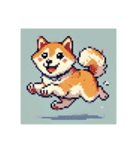 【ドット絵】  柴犬スタンプ（個別スタンプ：4）