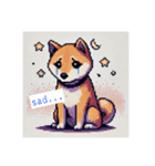 【ドット絵】  柴犬スタンプ（個別スタンプ：5）