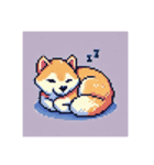 【ドット絵】  柴犬スタンプ（個別スタンプ：6）