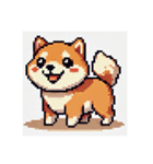 【ドット絵】  柴犬スタンプ（個別スタンプ：8）