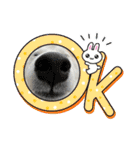 柴犬と猫⑧（個別スタンプ：2）
