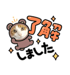 柴犬と猫⑧（個別スタンプ：4）