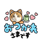 柴犬と猫⑧（個別スタンプ：21）