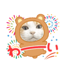 柴犬と猫⑧（個別スタンプ：25）
