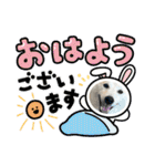 柴犬と猫⑧（個別スタンプ：29）