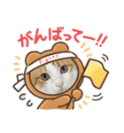 柴犬と猫⑧（個別スタンプ：32）