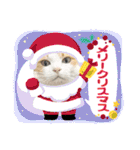 柴犬と猫⑧（個別スタンプ：37）