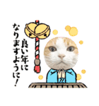 柴犬と猫⑧（個別スタンプ：40）