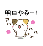 毎日五月病なねこたち ＆ お祝い（個別スタンプ：10）