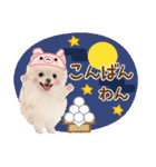 かわいい犬たち❤️よく使う秋❤︎ぽめ（個別スタンプ：26）