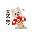 かわいい犬たち❤️よく使う秋❤︎ぽめ（個別スタンプ：35）