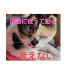 信頼のエネルギーを(スピリチュアル)10（個別スタンプ：15）