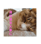 信頼のエネルギーを(スピリチュアル)10（個別スタンプ：16）