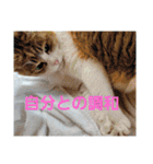 信頼のエネルギーを(スピリチュアル)10（個別スタンプ：17）