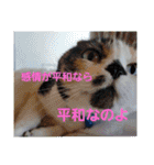 信頼のエネルギーを(スピリチュアル)10（個別スタンプ：33）