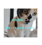 信頼のエネルギーを(スピリチュアル)10（個別スタンプ：34）