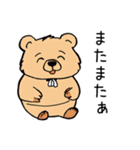 可愛い服を着た色んなくまさん2（個別スタンプ：14）
