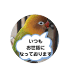 毎日使える、お楽しみいっぱい動物（個別スタンプ：10）