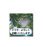 毎日使える、お楽しみいっぱい動物（個別スタンプ：16）