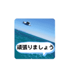 毎日使える、お楽しみいっぱい動物（個別スタンプ：18）