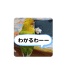 毎日使える、お楽しみいっぱい動物（個別スタンプ：22）